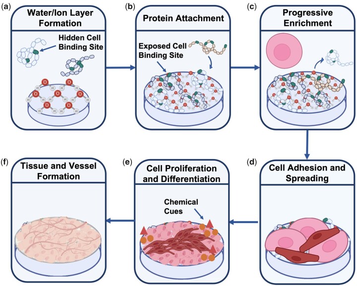 Figure 20.