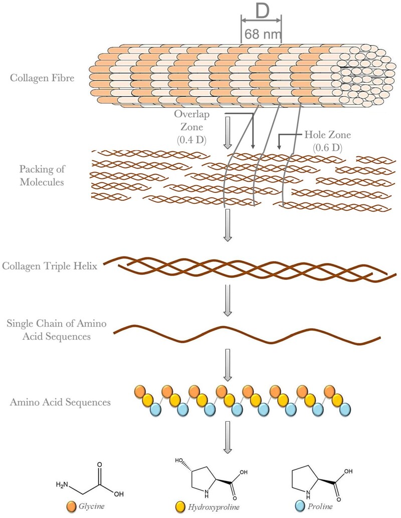 Figure 14.