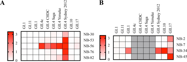 FIG 2