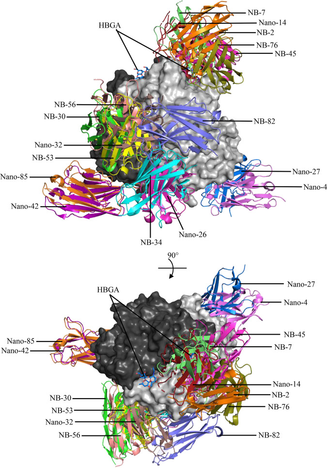 FIG 22