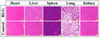 Figure 16