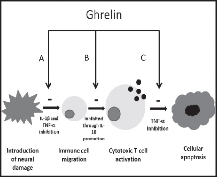 Fig 3: