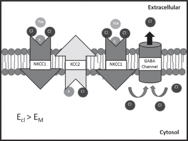 Fig 2: