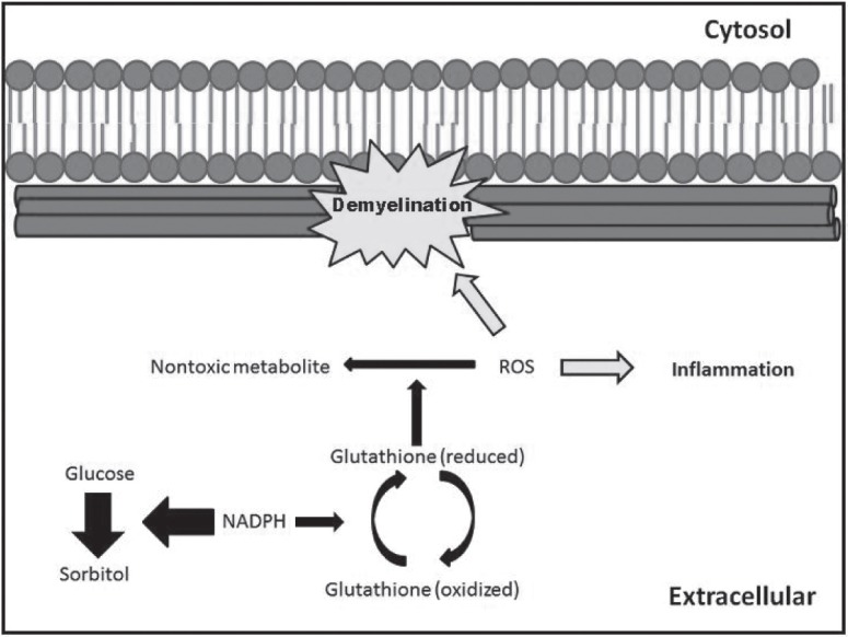 Fig 1: