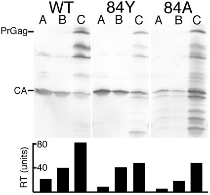 FIG. 10.