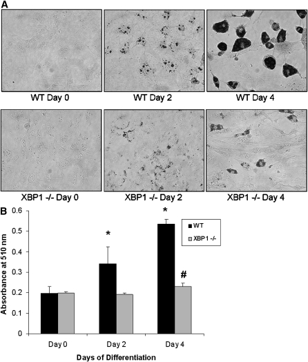 Fig. 4.