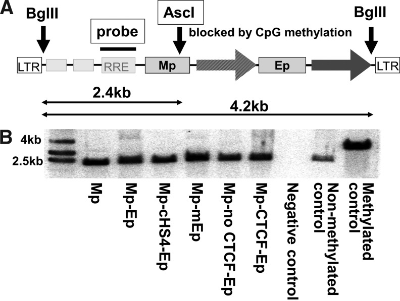 FIG. 5.