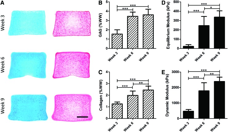 FIG. 7.