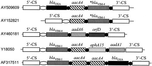 FIG. 2.