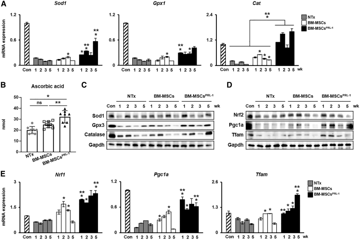 Figure 5