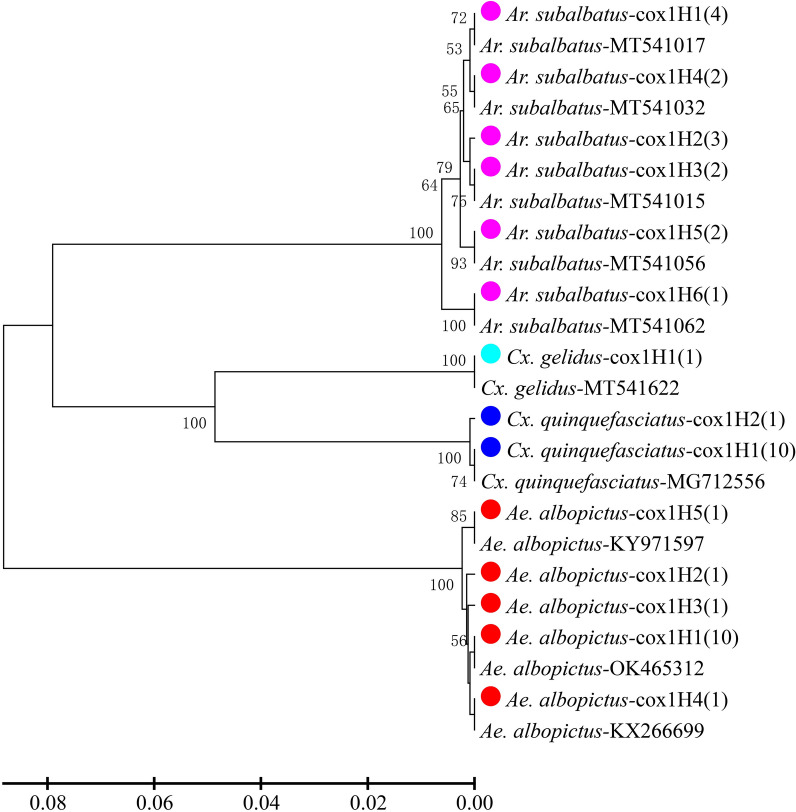 Fig. 3