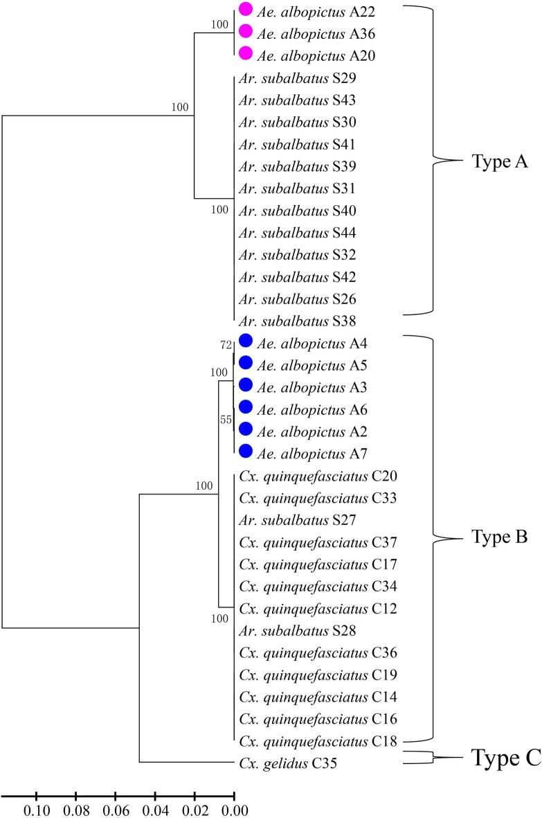 Fig. 5