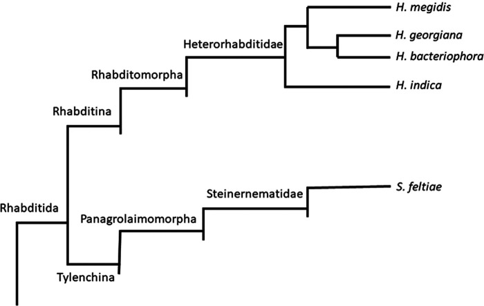 Figure 1: