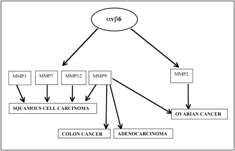 Fig. (3)