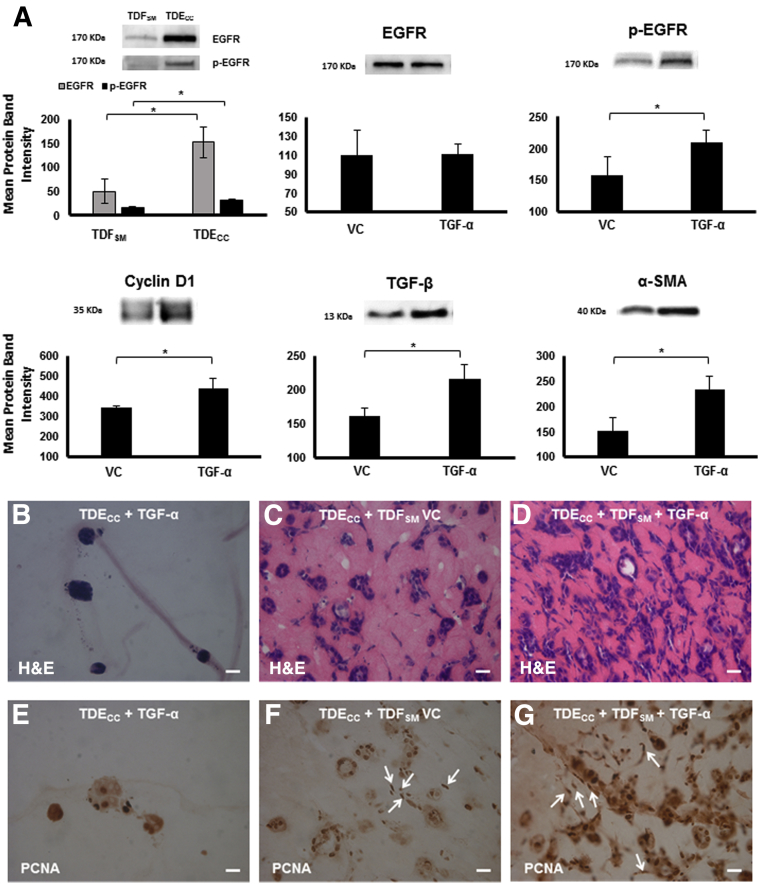 Figure 13