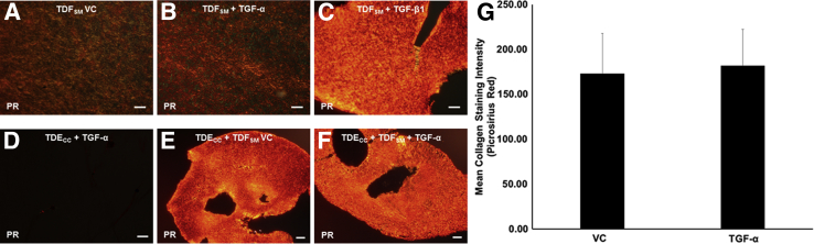 Figure 12