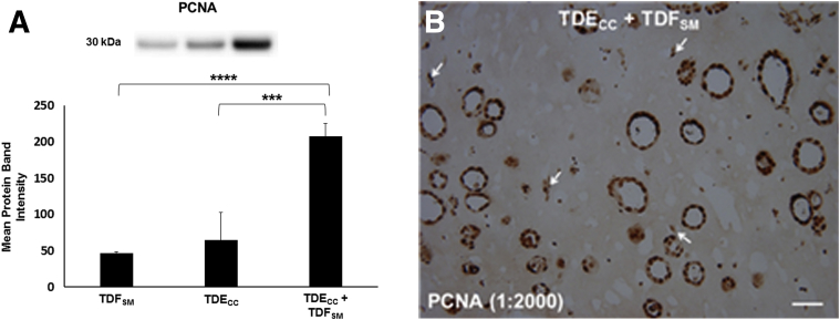 Figure 7