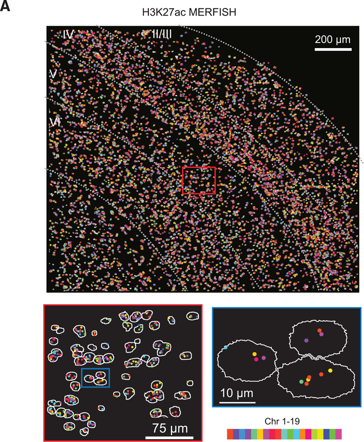 Figure 4A.