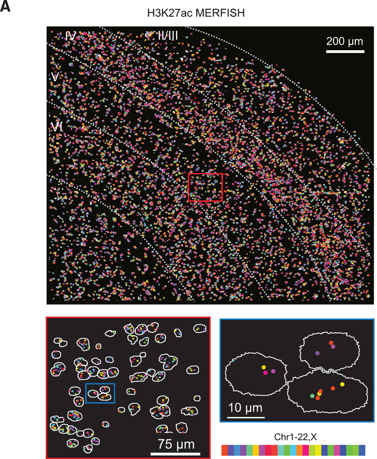 Figure 4A.