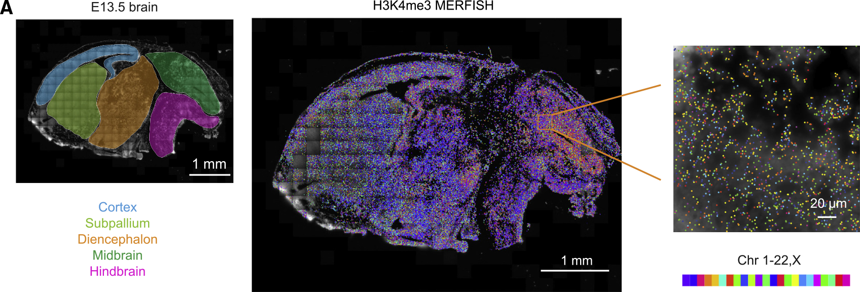 Figure 3A.