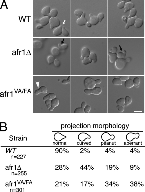 FIG. 5.