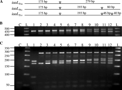 FIG. 2.