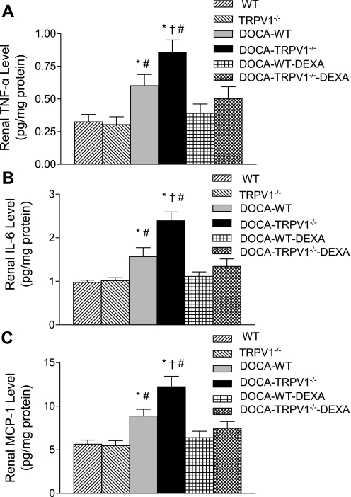 Fig. 8.