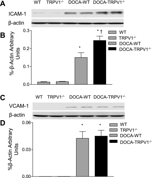 Fig. 9.