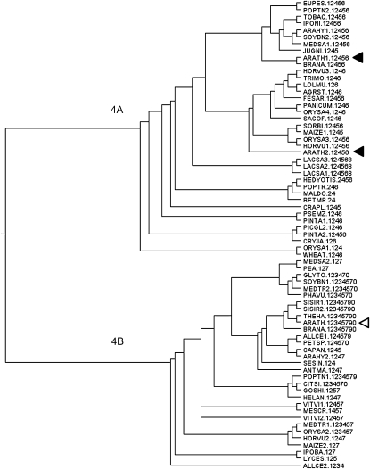 Figure 9.