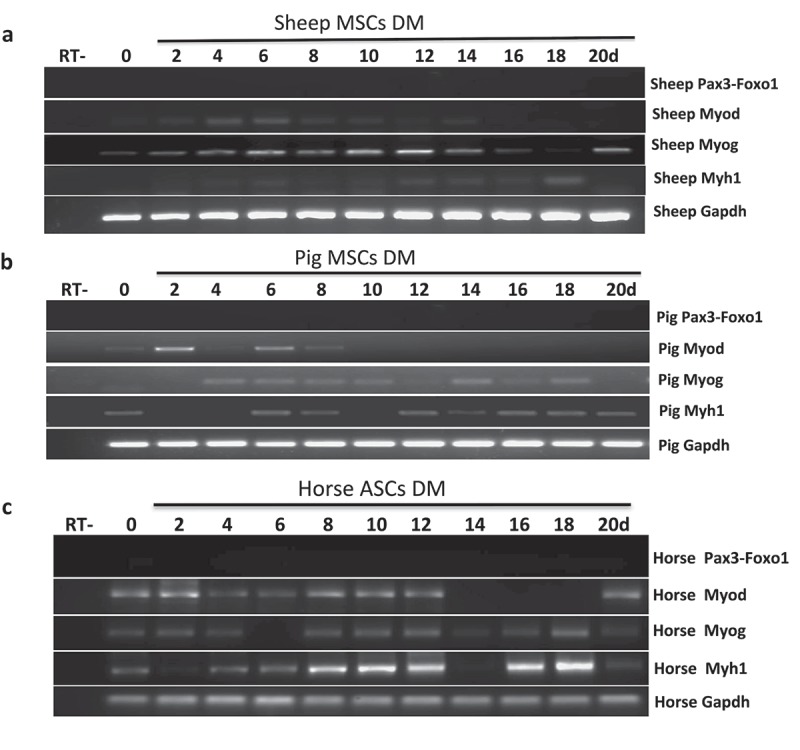 Figure 3.