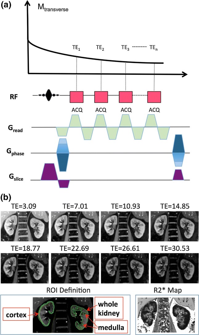 Fig. 1