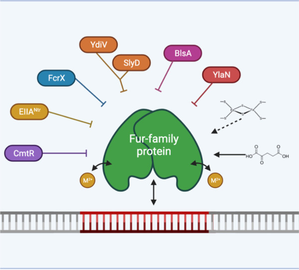 FIG 3