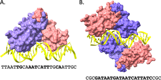 FIG 1