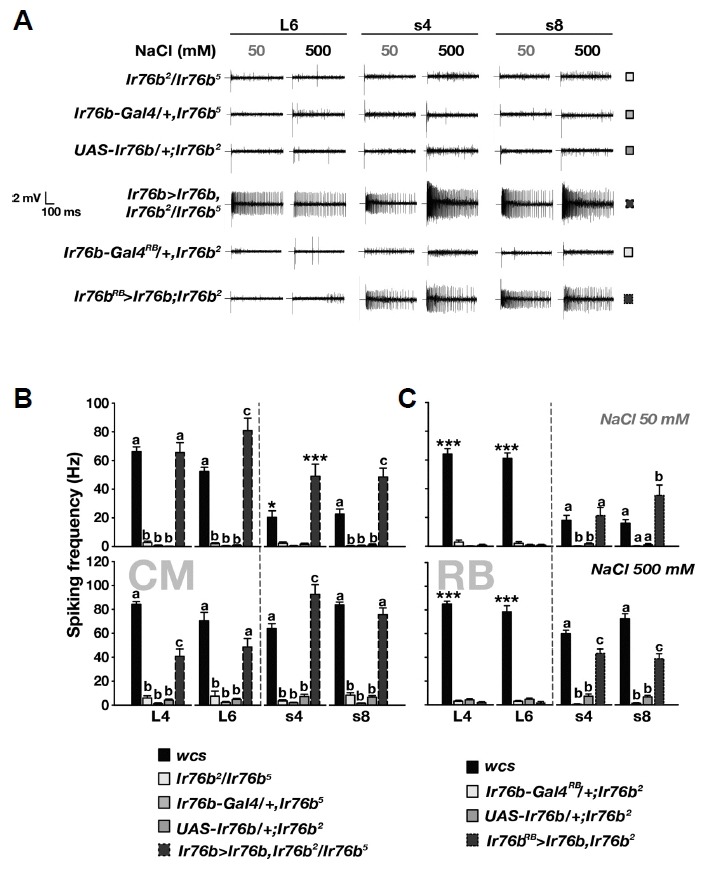 Fig. 4