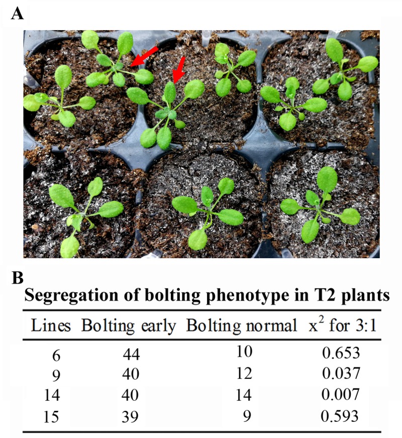 Fig 4