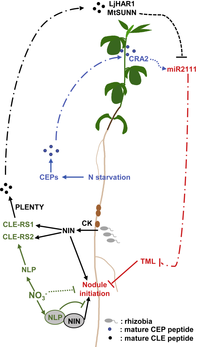 Figure 6