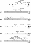 FIG. 2.