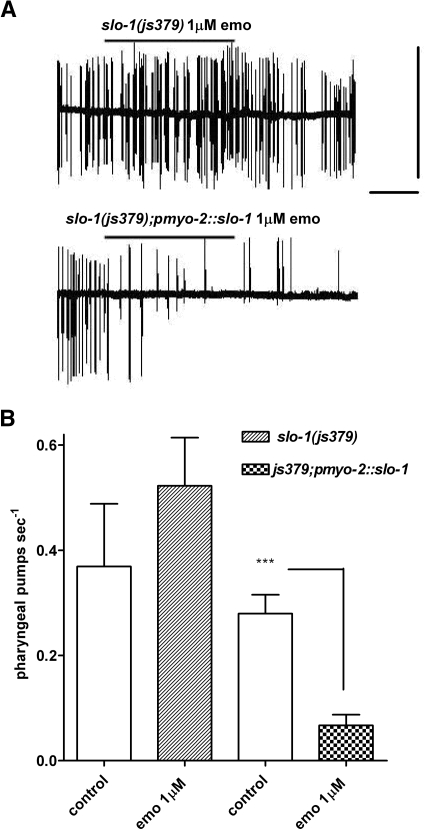 Fig. 9.