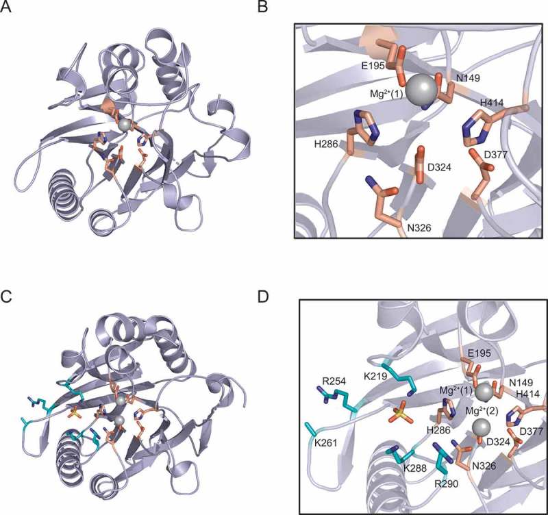 Figure 4.