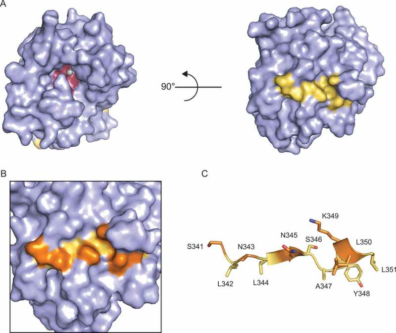 Figure 6.