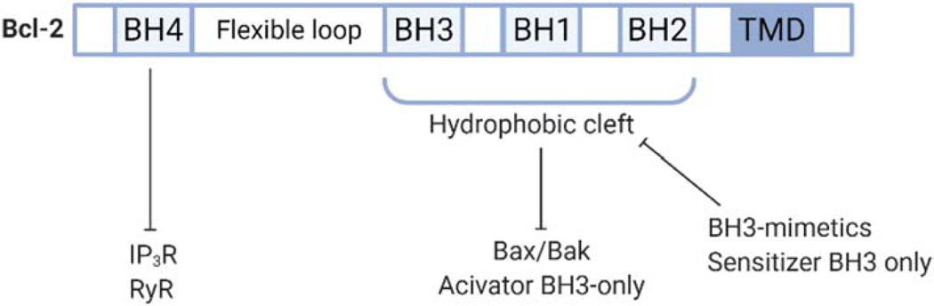 Figure 2.