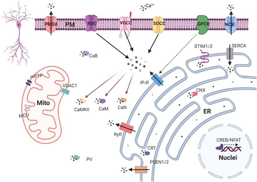 Figure 1.