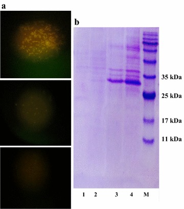 Fig. 6