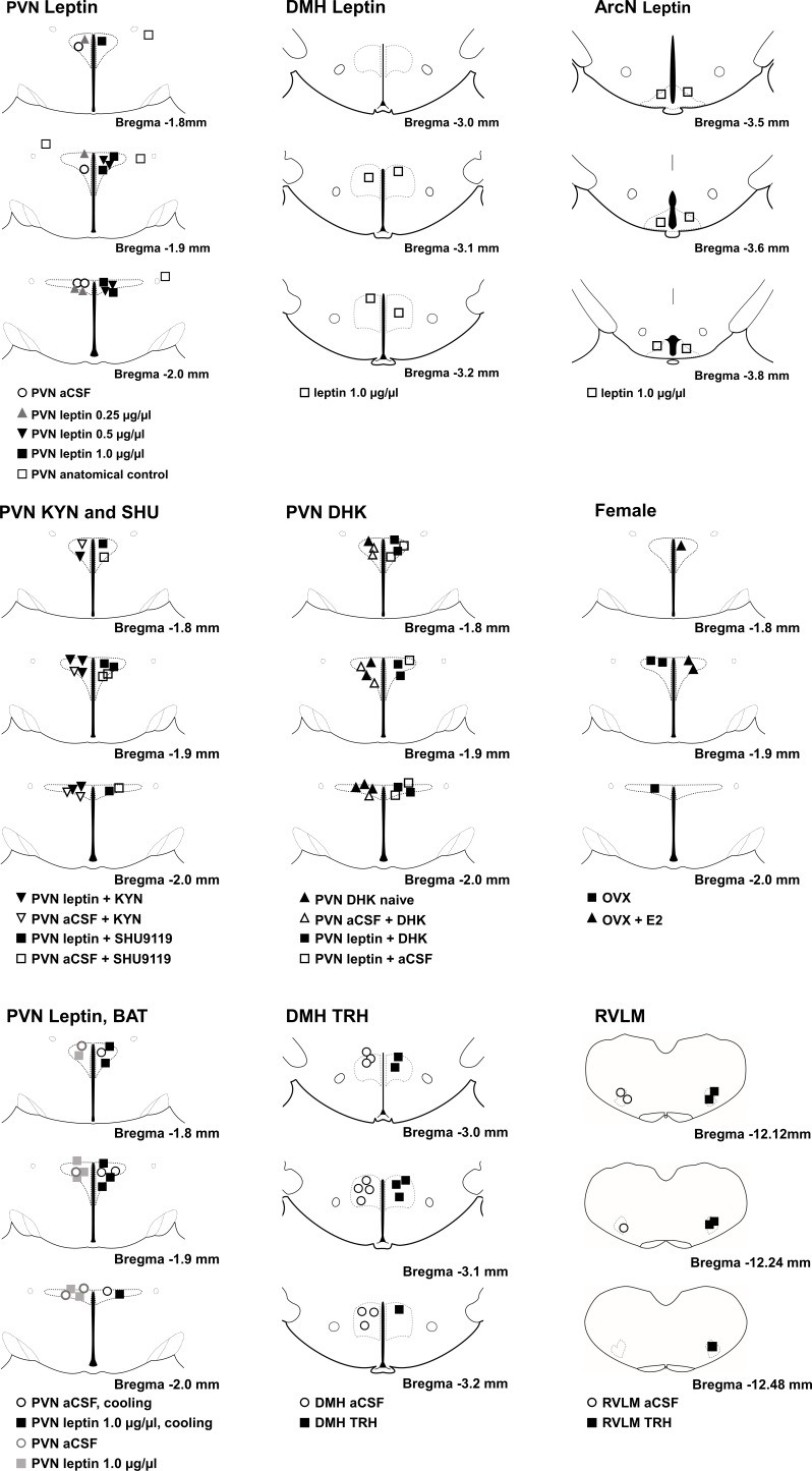 Figure 20.