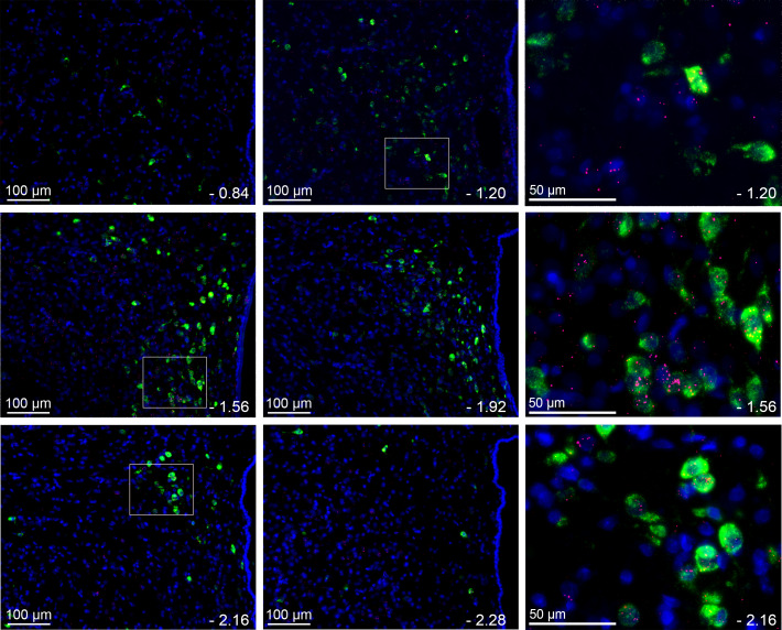 Figure 16.