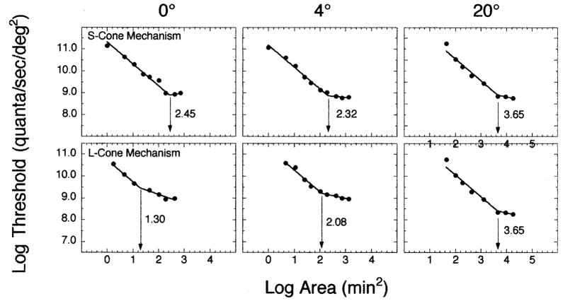 FIG. 1