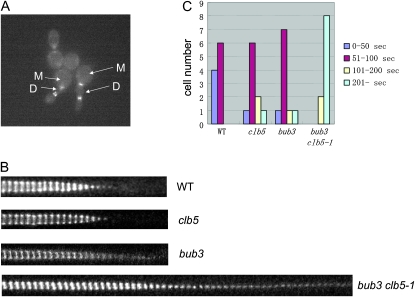 Figure 2.—