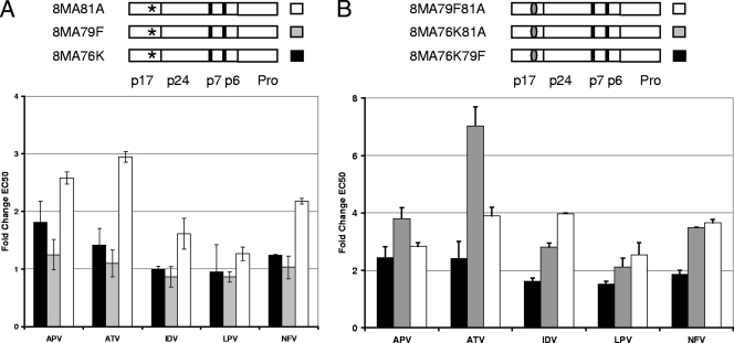 FIG. 4.