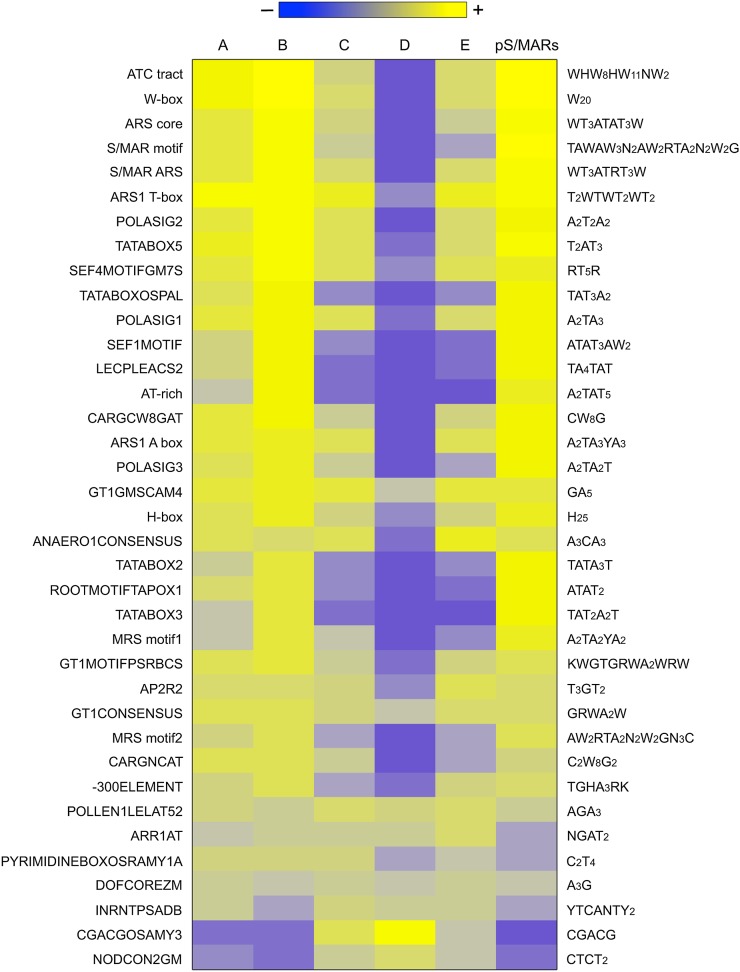 Figure 5.