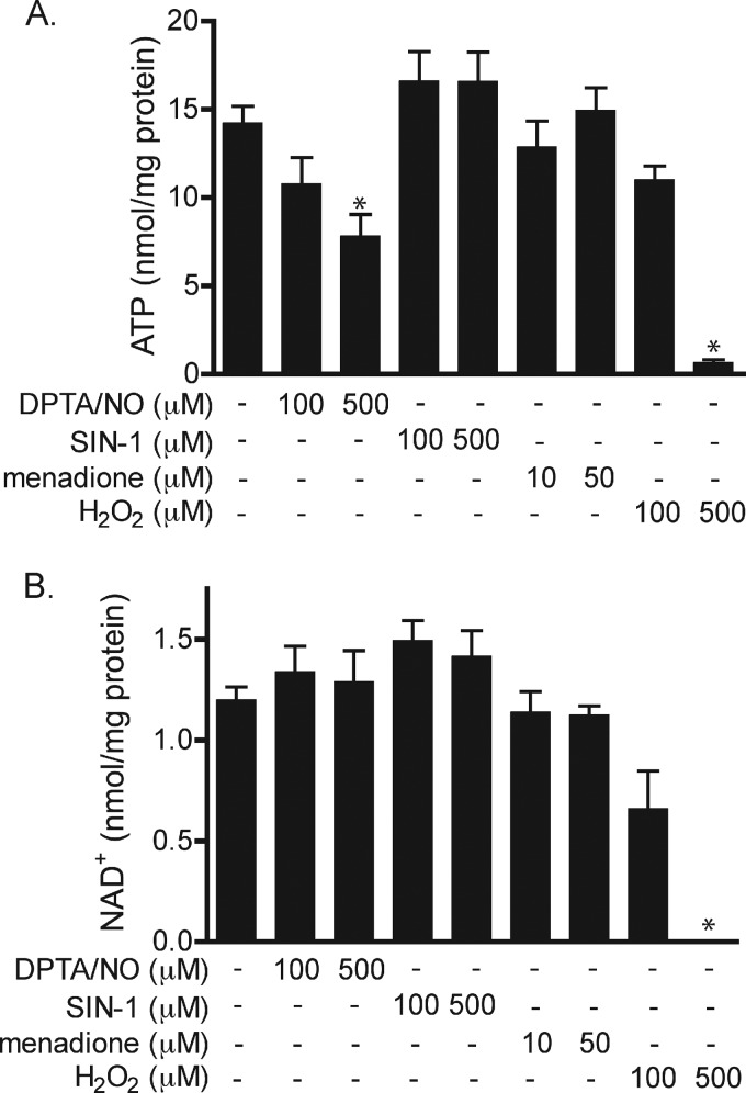 FIGURE 4.